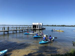 people kayaking in the water
